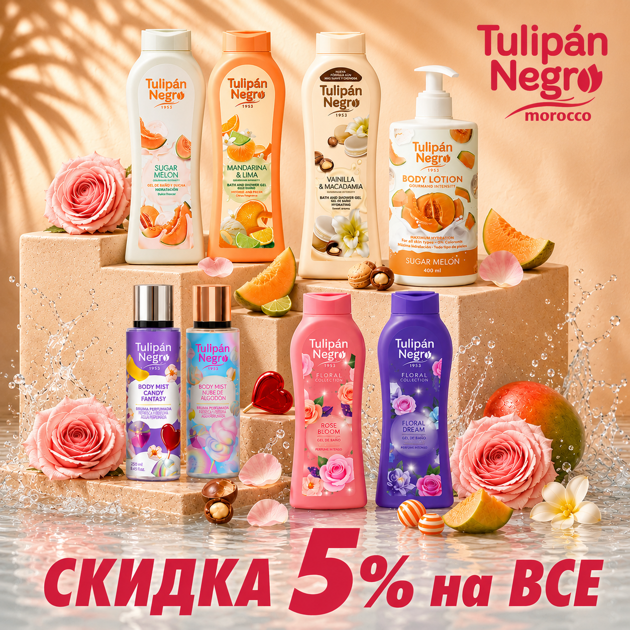 TULIPAN NEGRO -5%
